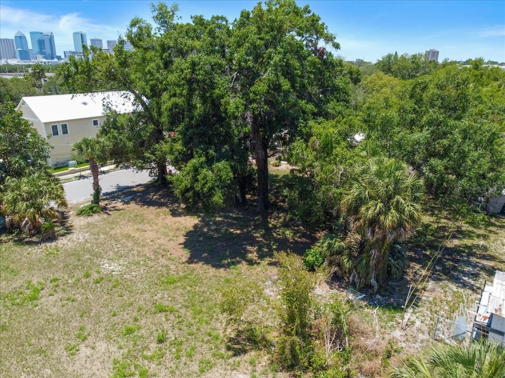An elevated view of a vacant, tree-covered lot with a nearby house and city skyline — 940 E 11TH AVENUE, TAMPA, FL