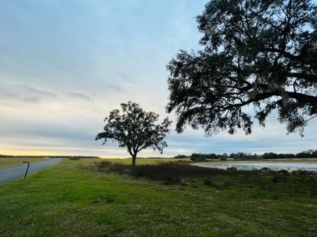 A grassy field features two large oak trees and a pond under a cloudy sky — TBD SE 74TH LANE ROAD UNIT 8 & #9 West, OCKLAWAHA, FL