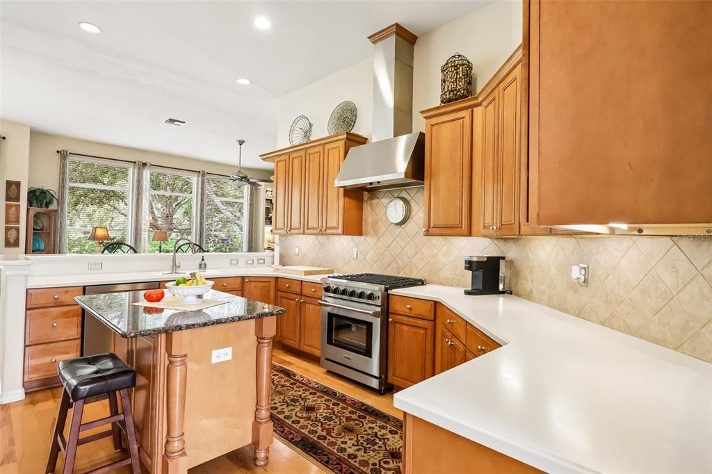 A screened-in patio features wicker furniture, a ceiling fan, and views of a sunset landscape — 20554 QUEEN ALEXANDRA DRIVE, LEESBURG, FL