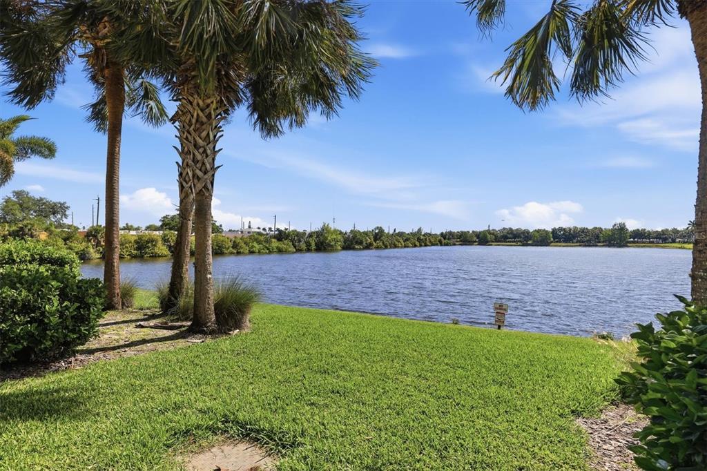 A grassy lawn leads to a lake framed by palm trees under a blue sky — 3603 45TH TERRACE W UNIT 101, BRADENTON, FL