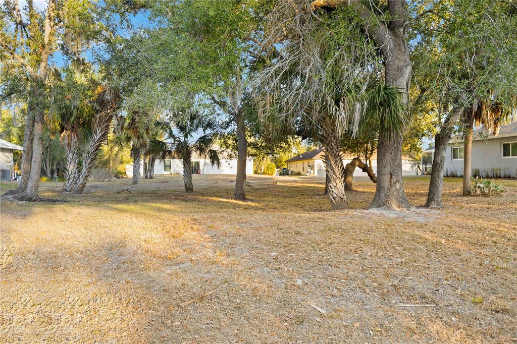 A grassy yard with several large trees and palm trees in front of residential houses — Lot 26 HOLLAND STREET, NORTH PORT, FL