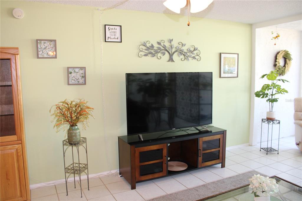 A living room features a large television on a wood console against a light green wall — 14130 ROSEMARY LANE UNIT 1117, LARGO, FL