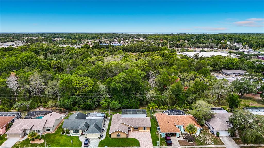 An aerial view shows a row of suburban houses bordered by a large wooded area — 18817 PARADE ROAD, HUDSON, FL