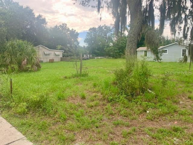 A grassy, undeveloped lot features a large tree and two small houses in the background — 2904 PARK STREET, EATON PARK, FL