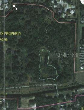 An aerial map shows a large wooded property outlined in red with a smaller interior boundary — ARMAND DRIVE, TAMPA, FL