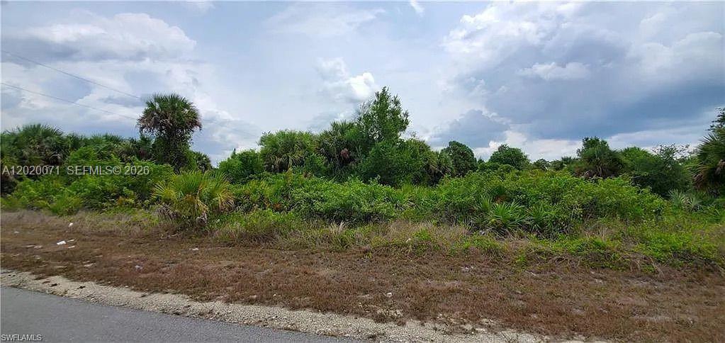 An overgrown, undeveloped lot with native Florida vegetation sits beside a paved road — 523 Montclair ave s, Lehigh Acres FL 33974, LEHIGH ACRES, FL