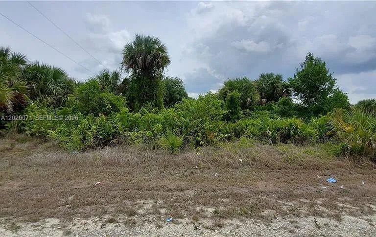 A vacant, overgrown lot with dense vegetation and palm trees under a cloudy sky — 523 Montclair ave s, Lehigh Acres FL 33974, LEHIGH ACRES, FL