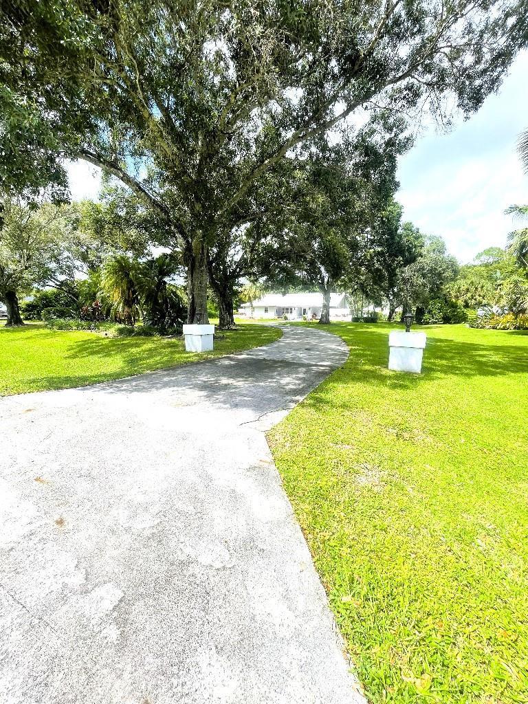 A concrete driveway leads toward a house framed by large trees and green lawns — 14183 Greentree Trail, Wellington FL 33414, WELLINGTON, FL