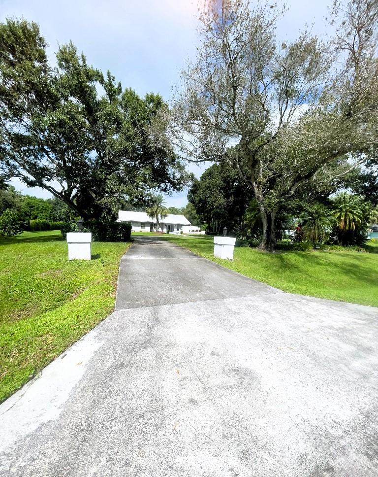 A concrete driveway leads toward a white house framed by large, mature trees — 14183 Greentree Trail, Wellington FL 33414, WELLINGTON, FL