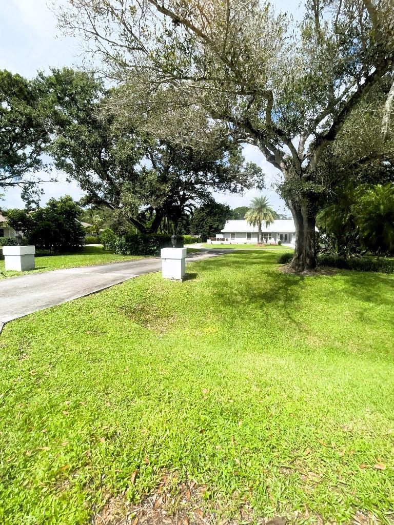 A long driveway leads to a white house surrounded by large trees and green grass — 14183 Greentree Trail, Wellington FL 33414, WELLINGTON, FL