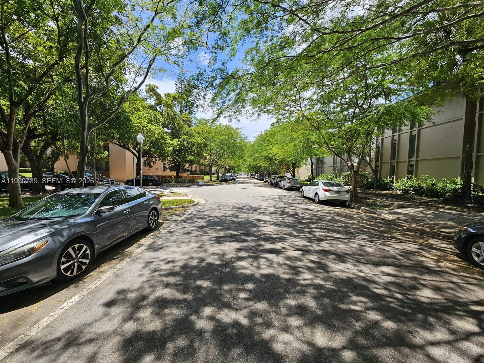 A street view shows parked cars along a tree-lined road between apartment buildings — 235 Antilla Ave # 4, Coral Gables FL 33134, CORAL GABLES, FL