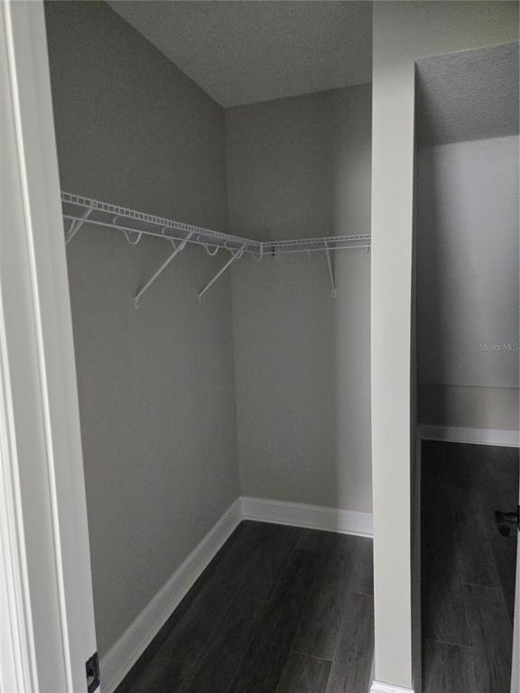 A walk-in closet with gray walls, dark wood-look flooring, and white wire shelving — 704 E ORCHID AVENUE, TAMPA, FL
