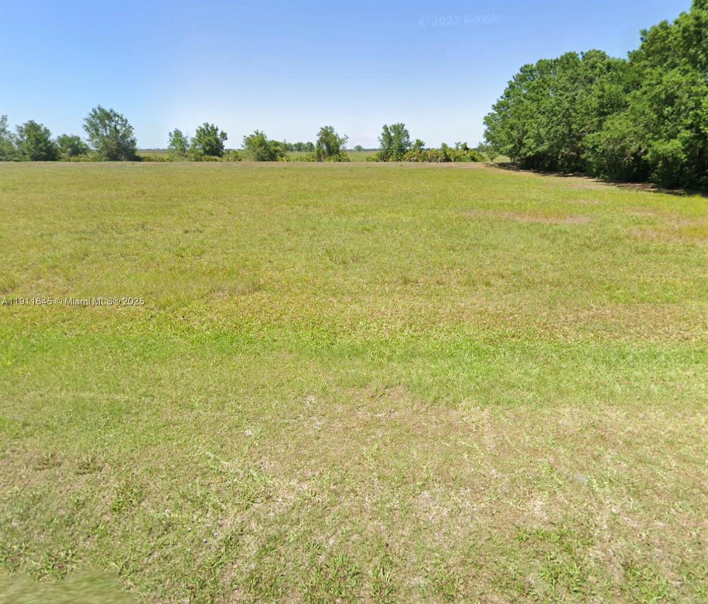 A wide, flat, grassy field is bordered by trees under a clear blue sky — 7109 Coral Ridge Rd, Sebring FL 33876, SEBRING, FL
