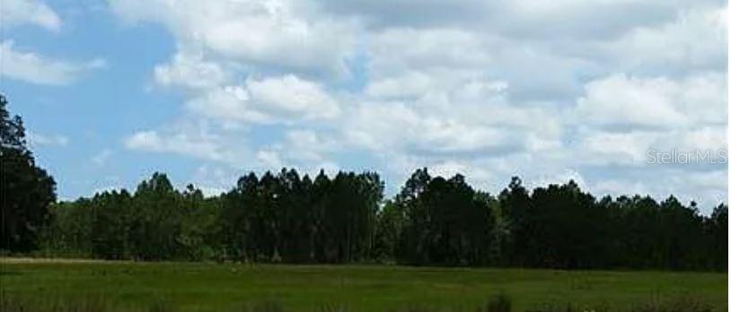 A wide, grassy field stretches toward a dense line of trees under a cloudy sky — BIG JOHN DR, DELAND, FL