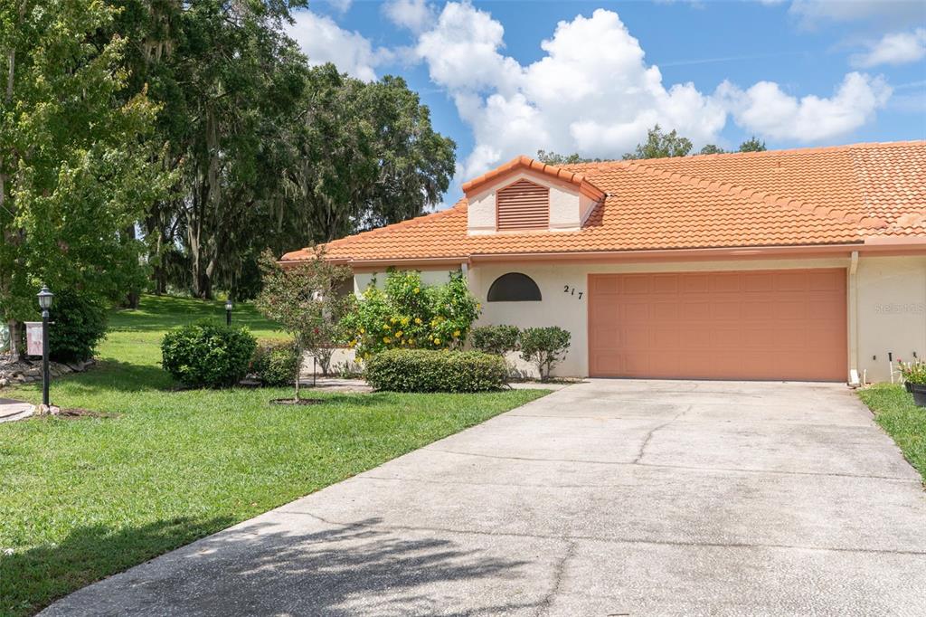 217 BUENA VISTA COURT
