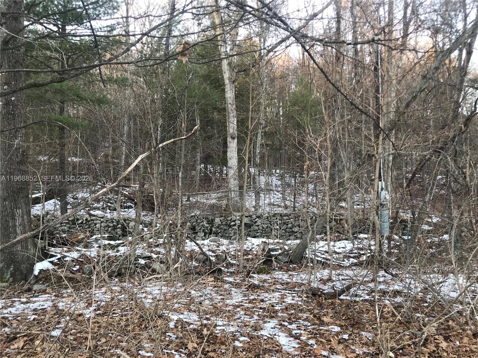 A stone wall runs through a wooded area with patches of snow on the ground — 34 Iken Road, NY 12446, NY