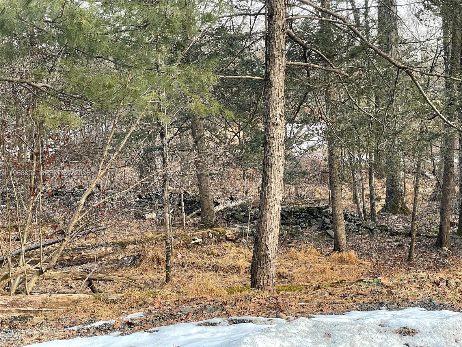 A wooded area features a stone wall running through the trees and patches of snow — 34 Iken Road, NY 12446, NY