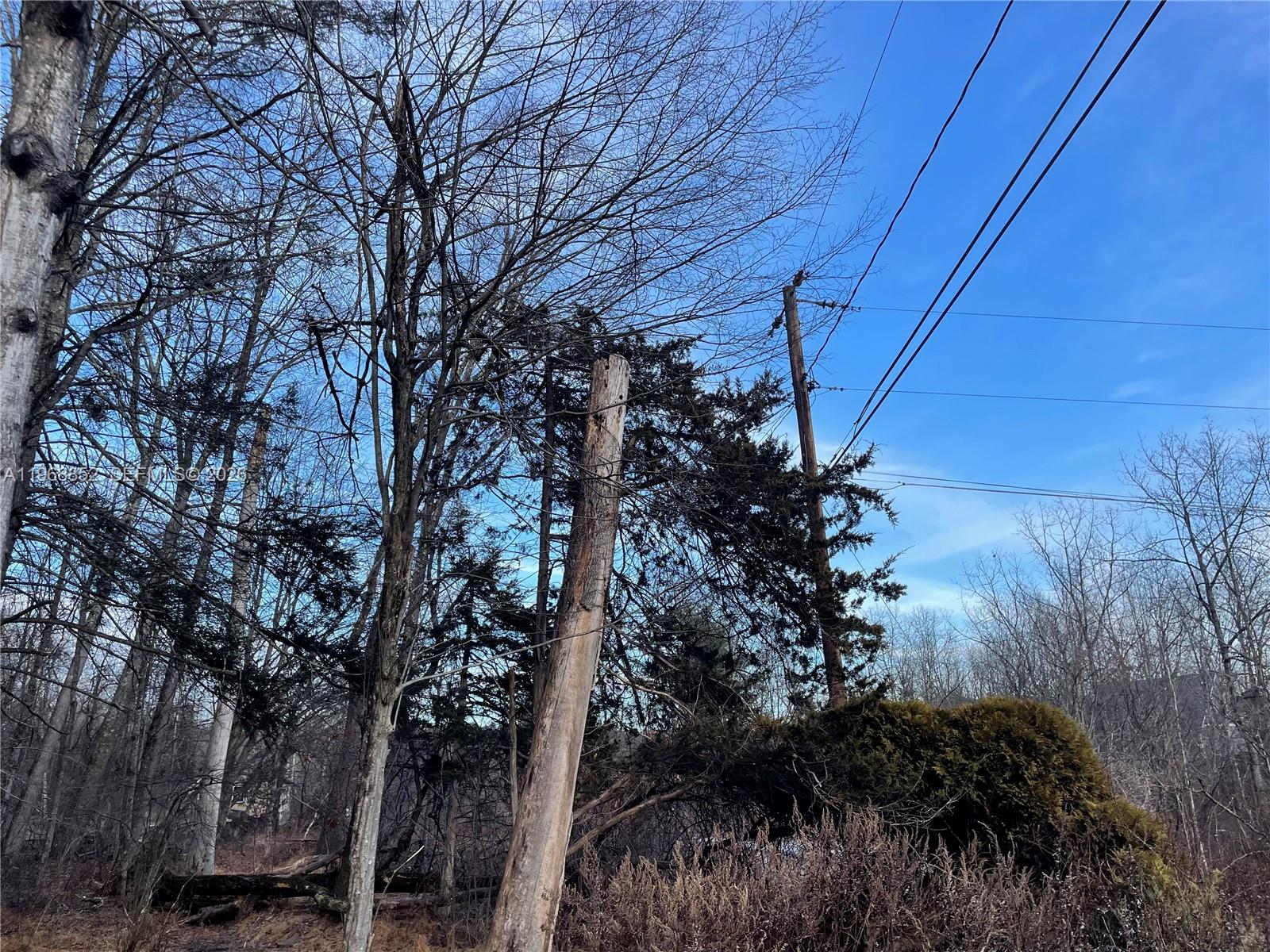 A utility pole stands among bare trees and evergreen shrubs under a clear blue sky — 34 Iken Road, NY 12446, NY