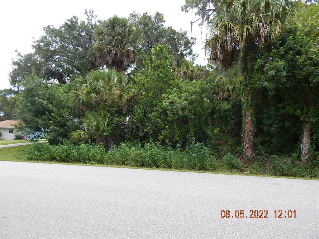 A paved road runs in front of a densely wooded lot with various palm trees — ANTIOCH STREET, NORTH PORT, FL
