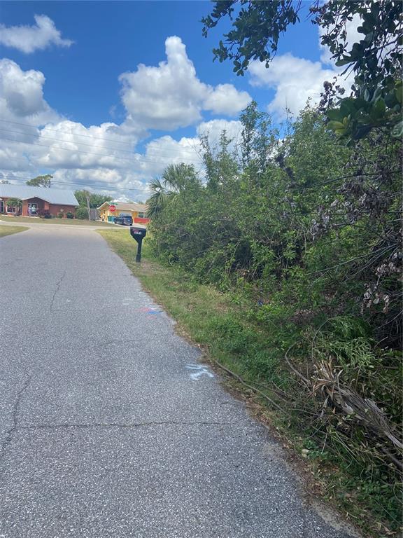A paved road runs alongside a dense, overgrown lot with a mailbox in the foreground — 1190 VERNON AVE, PORT CHARLOTTE, FL