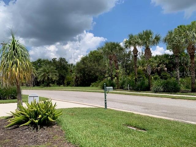 A paved road runs past a grassy yard with a palm tree and a mailbox — 13217 SCRUB JAY COURT, PORT CHARLOTTE, FL