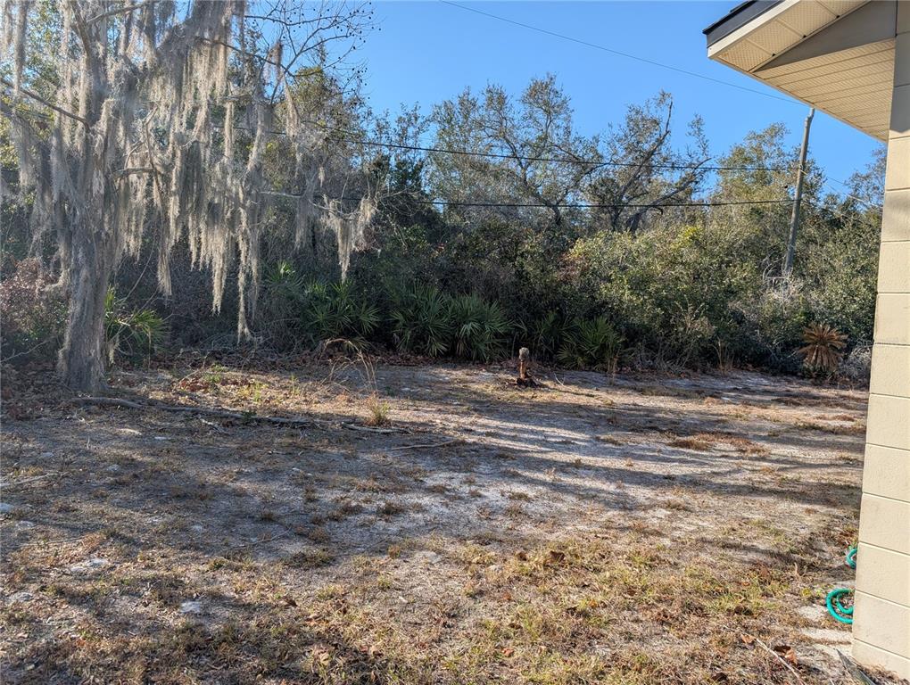 A sandy, partially shaded backyard features a large tree with Spanish moss and dense brush — 24 S COURTLAND BOULEVARD, DELTONA, FL