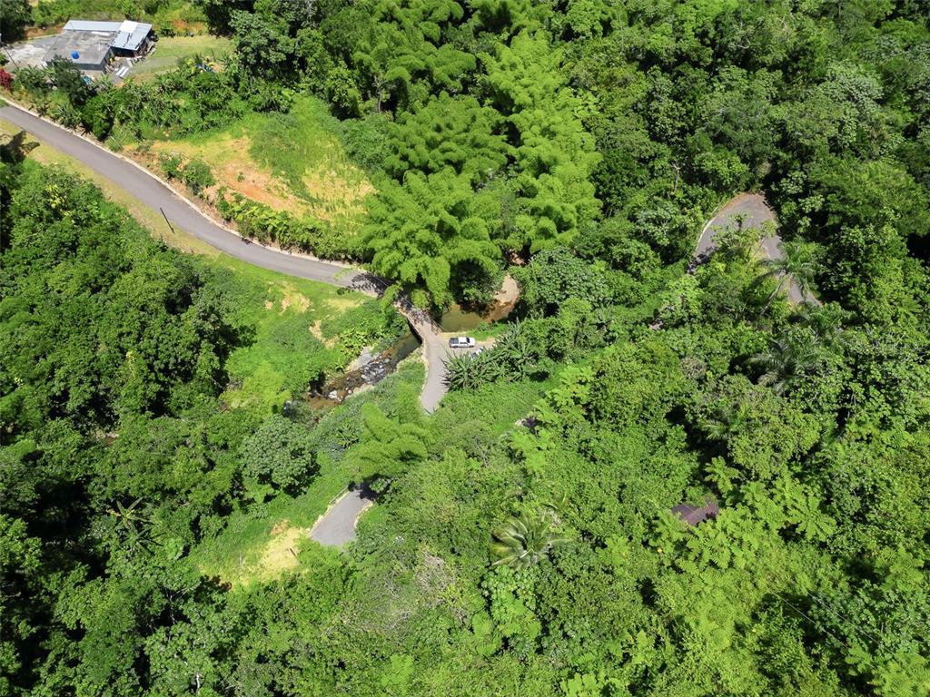 An aerial view shows a winding road passing through a lush, forested landscape with a stream — Carretera 124 KM 1.3 BO. BUENA VISTA, LAS MARIAS, PR