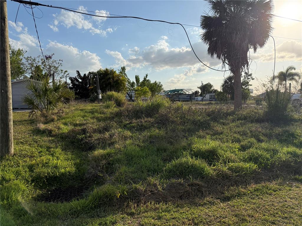 A grassy, overgrown vacant lot features a palm tree and a utility pole — 4153 HOLLIS AVENUE, PORT CHARLOTTE, FL