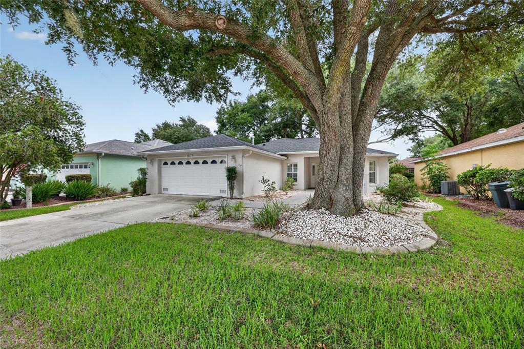 A single-story house with a white garage, a large tree, and a landscaped front yard — 7933 SW 83RD PLACE, OCALA, FL