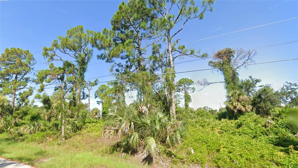 A vacant, wooded lot features several tall pine trees and dense undergrowth under a blue sky — RHUMBA TERRACE Lot 30, NORTH PORT, FL