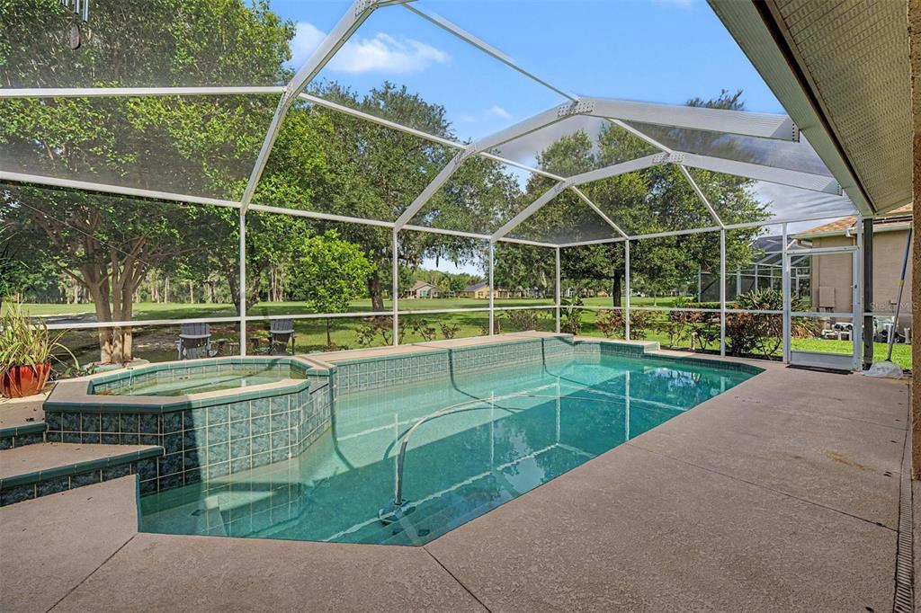 A screened-in swimming pool and spa with a concrete deck overlooking a grassy yard — 1331 TRIMARAN PLACE, TRINITY, FL