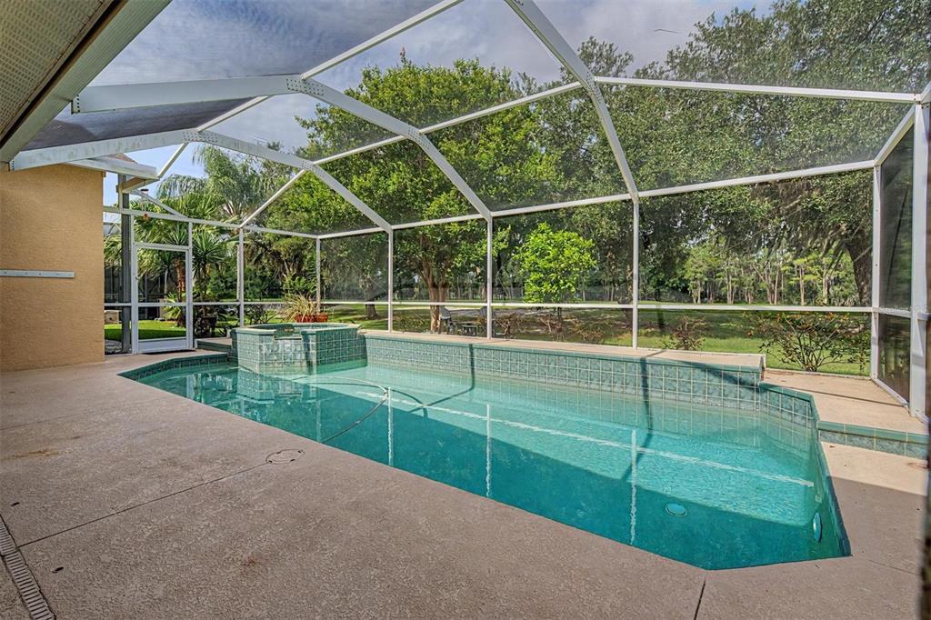 A rectangular swimming pool with an attached spa sits inside a screened-in patio enclosure — 1331 TRIMARAN PLACE, TRINITY, FL