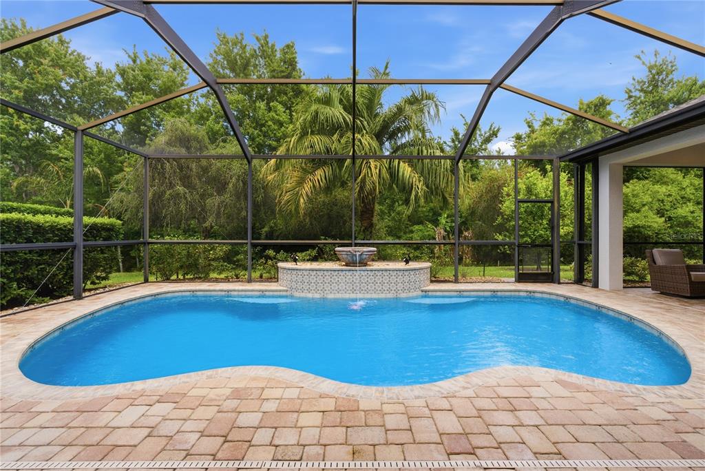 A screened-in swimming pool with a stone fountain feature sits on a paved patio — 8747 BONICA PLACE, LAND O LAKES, FL