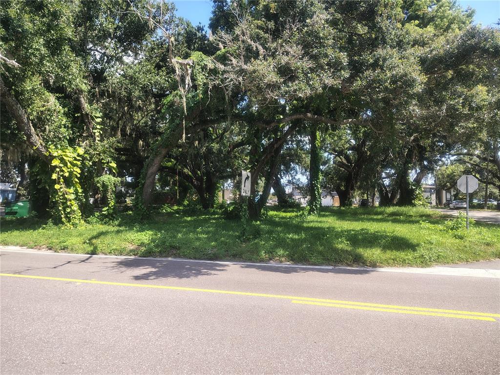 113 E ROBERTSON STREET, BRANDON, FL — photo 2 of 17