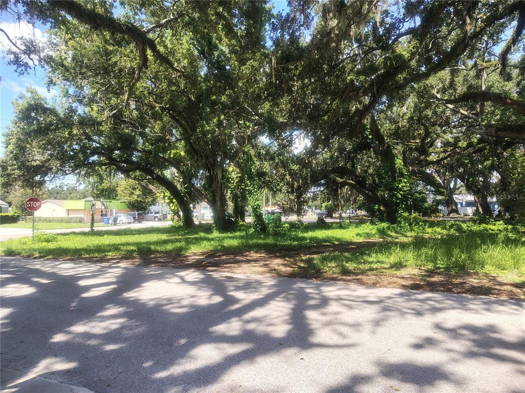 113 E ROBERTSON STREET, BRANDON, FL — photo 3 of 17