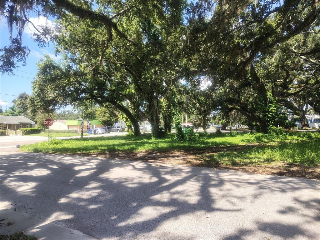 113 E ROBERTSON STREET, BRANDON, FL — photo 4 of 17