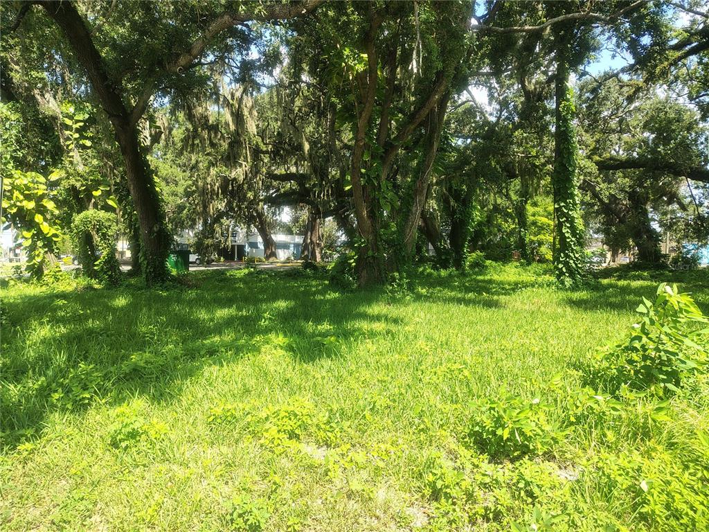 113 E ROBERTSON STREET, BRANDON, FL — photo 5 of 17