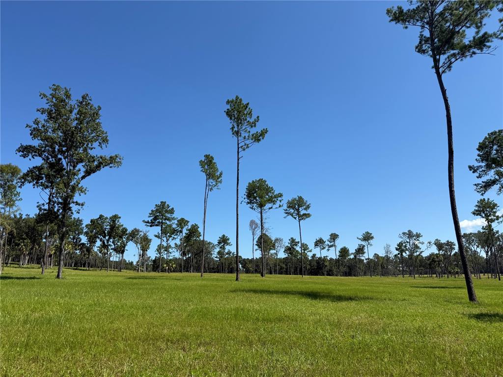 DO #6 (24ac) NW 193RD ST, MICANOPY, FL — photo 2 of 11