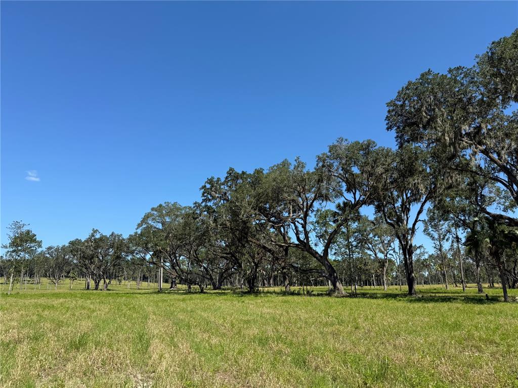 DO #6 (24ac) NW 193RD ST, MICANOPY, FL — photo 3 of 11