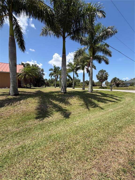 A grassy yard features several tall palm trees under a clear blue sky — 27019 SHANAHAN LANE, PUNTA GORDA, FL