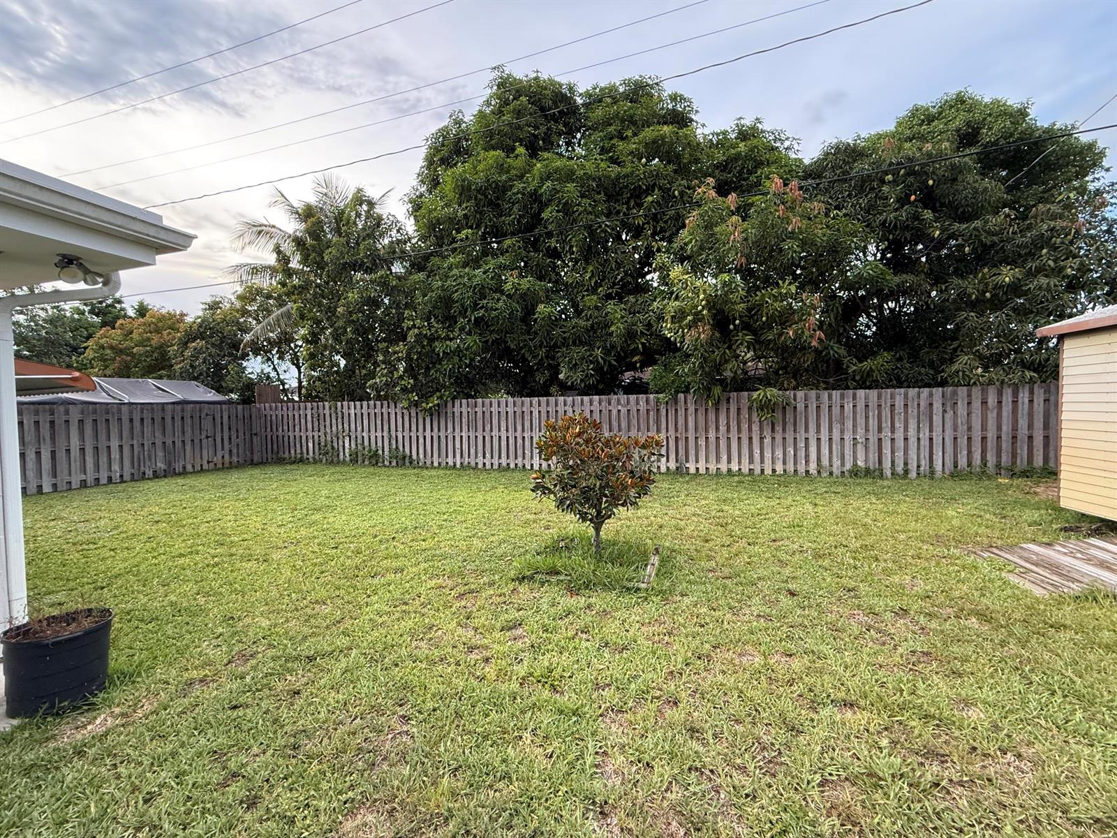 A grassy backyard features a small central tree, a wooden fence, and large mature trees — 817 Elm Road, West Palm Beach FL 33409, WEST PALM BEACH, FL