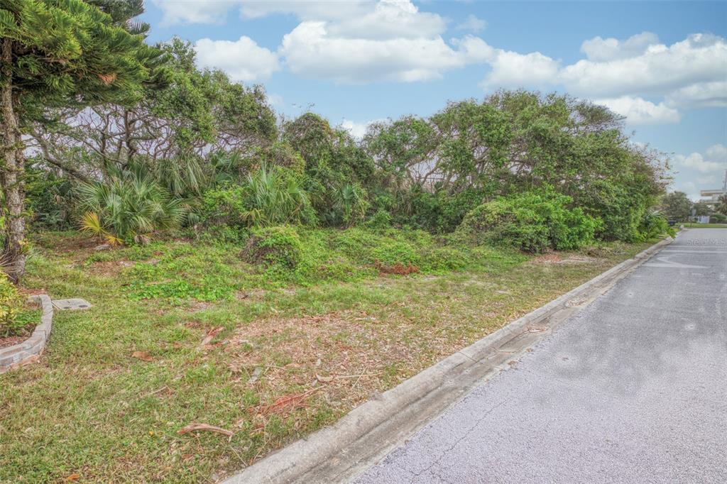 62 BUSCHMAN DRIVE, PONCE INLET, FL — photo 2 of 10