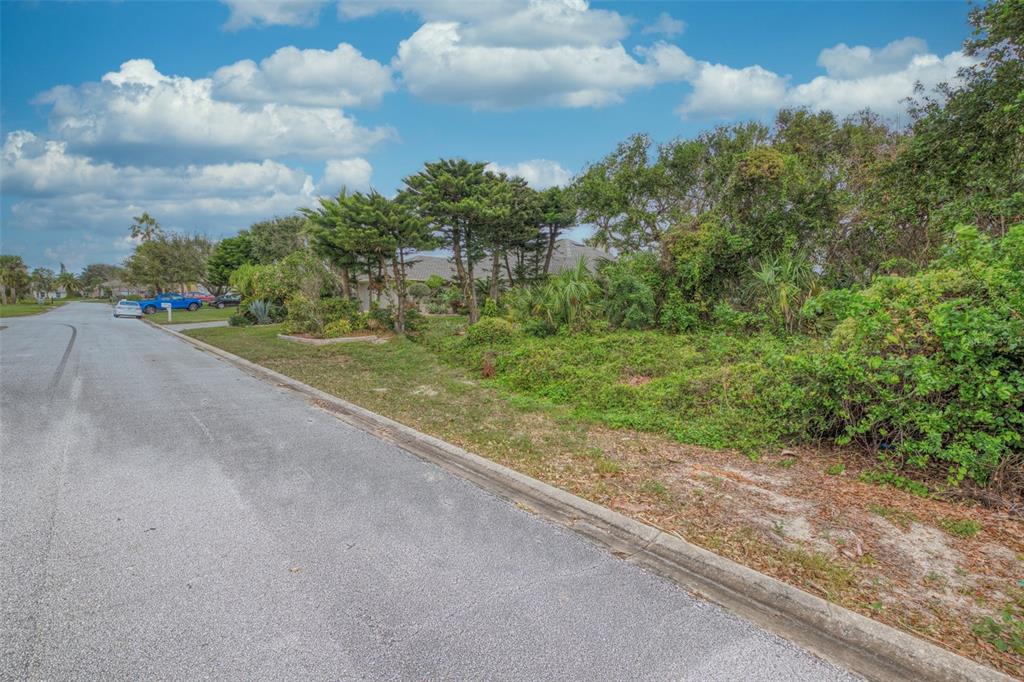 62 BUSCHMAN DRIVE, PONCE INLET, FL — photo 4 of 10