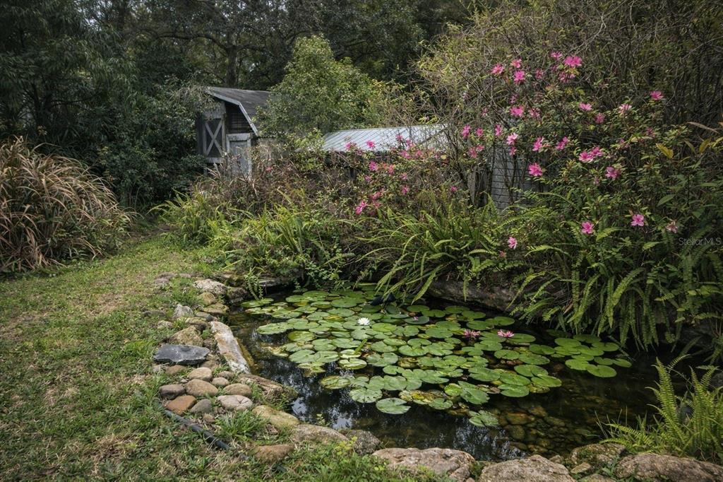 A small pond with lily pads sits in a garden next to a wooden shed — 2102 W KYRA DRIVE, TAMPA, FL