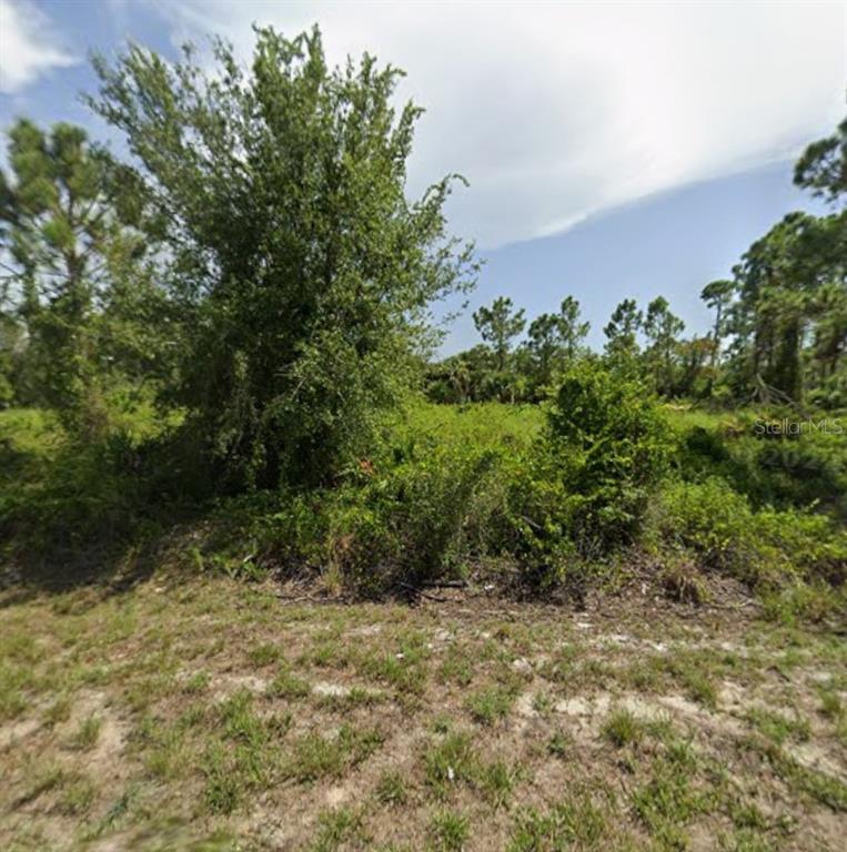 A view of a vacant, overgrown lot with trees and shrubs under a cloudy sky — 28033 MONTE CRISTO BOULEVARD, PUNTA GORDA, FL