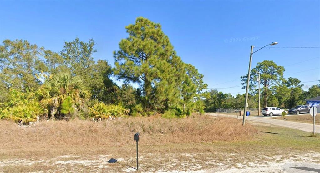 A vacant, grassy lot with scattered pine trees and palmettos sits beside a paved road — 885 MILWAUKEE BOULEVARD, LEHIGH ACRES, FL