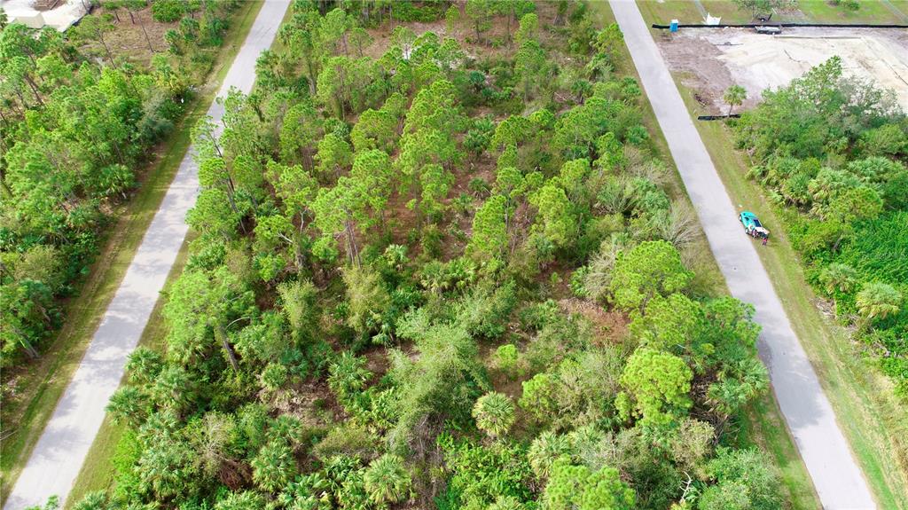 An aerial view shows a wooded, undeveloped lot situated between two paved residential streets — 26373 DEER ROAD, PUNTA GORDA, FL
