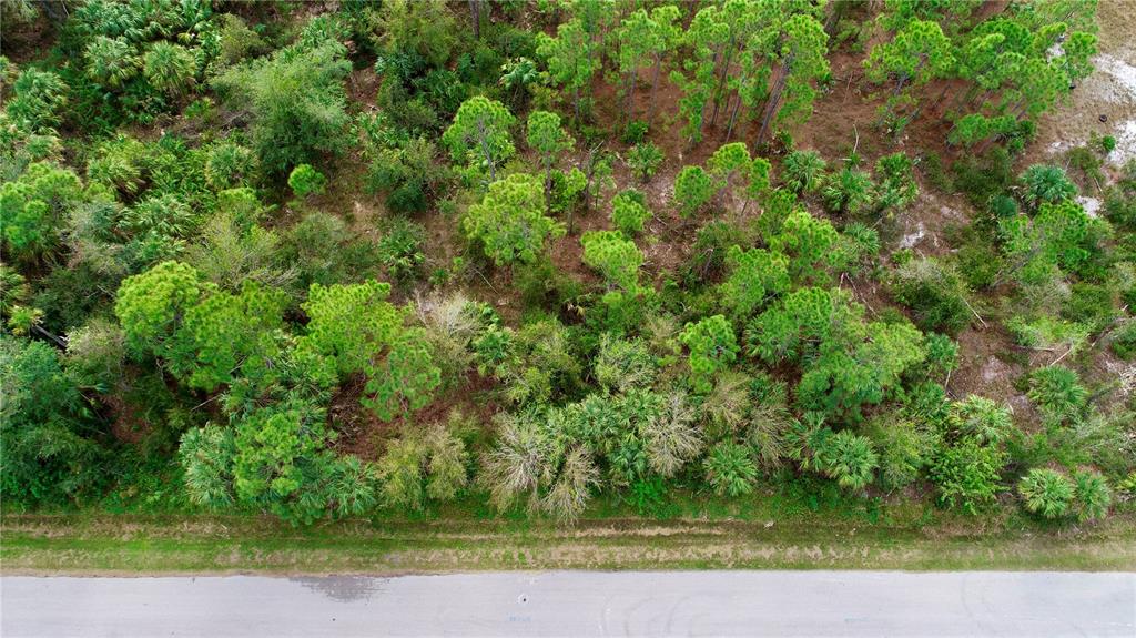 An aerial view shows a wooded lot with pine trees and shrubs bordering a paved road — 26373 DEER ROAD, PUNTA GORDA, FL