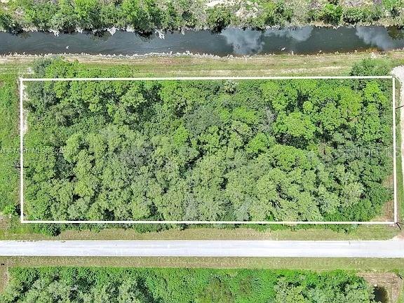 An aerial view shows a rectangular, wooded vacant lot bordered by a road and canal — 167 OCEAN PARK DRIVE, LEHIGH ACRES, FL