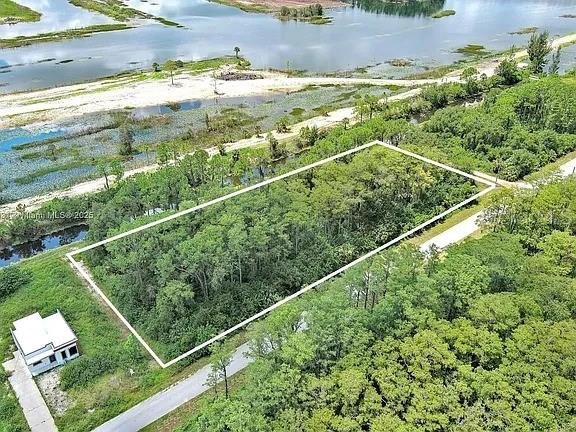 An aerial view shows a rectangular plot of land outlined in white near water — 167 OCEAN PARK DRIVE, LEHIGH ACRES, FL